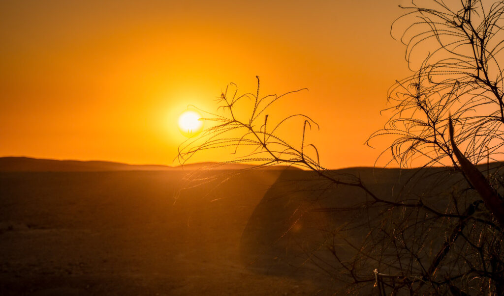 Pôr do sol alaranjado sobre uma colina escura, com galhos secos recortados contra o sol.