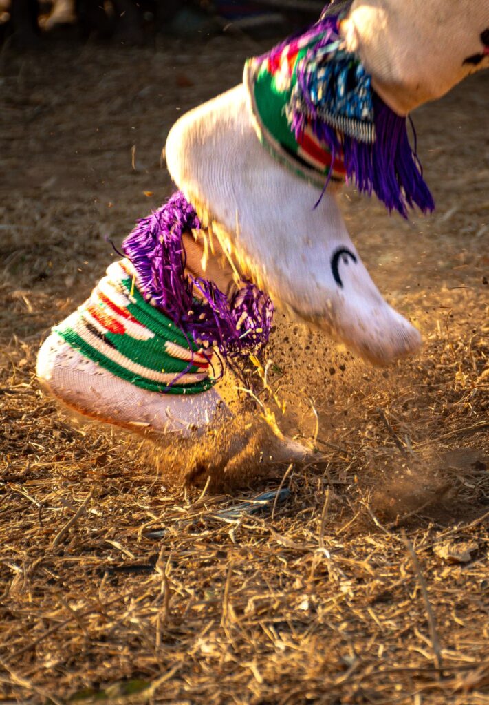 Detalhe dos pés de um dançarino Gule Wamkulu, com tornozeleiras coloridas, levantando poeira